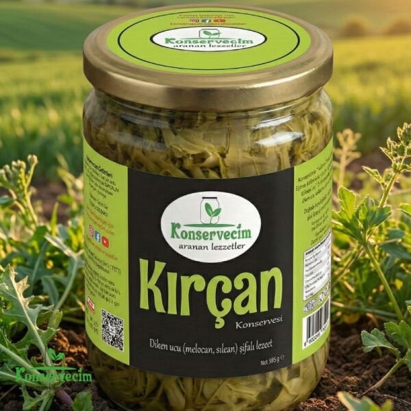 Diken ucu (Melocan,Kırçan,Sılcan) Konservesi 595 gr